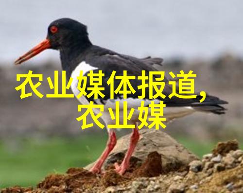 心疼儿子给他一次温柔的父爱