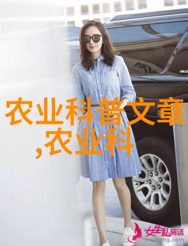 茶香图鉴揭秘不同形态的茶叶之美