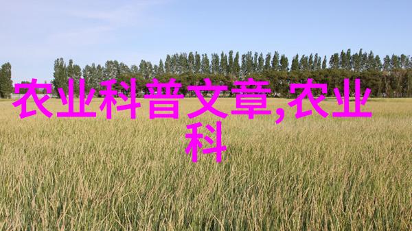 男的大香肠穿过女的甜甜圈-情侣间浪漫的食物对话游戏
