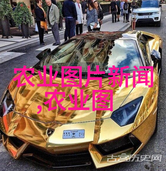 捕捉光芒蜂巢之旅的秘密