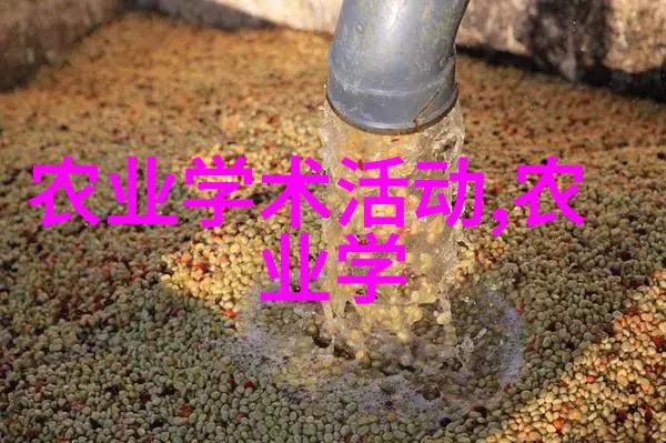 茶叶的秘密力量它究竟能为我们带来哪十大保健益处