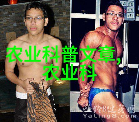 丰收篇章8月9月的生长秘密