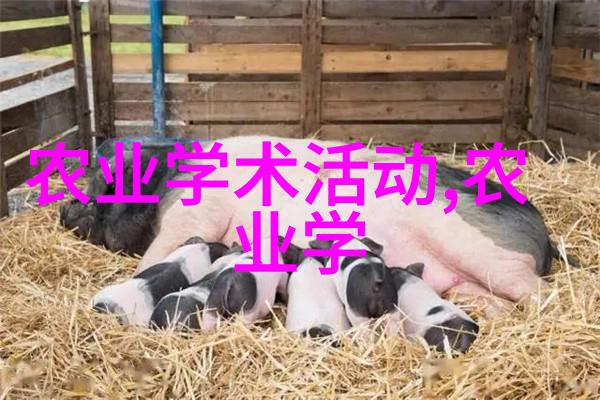 BREAKING狗狗当选市长市民纷纷问咬人不咬