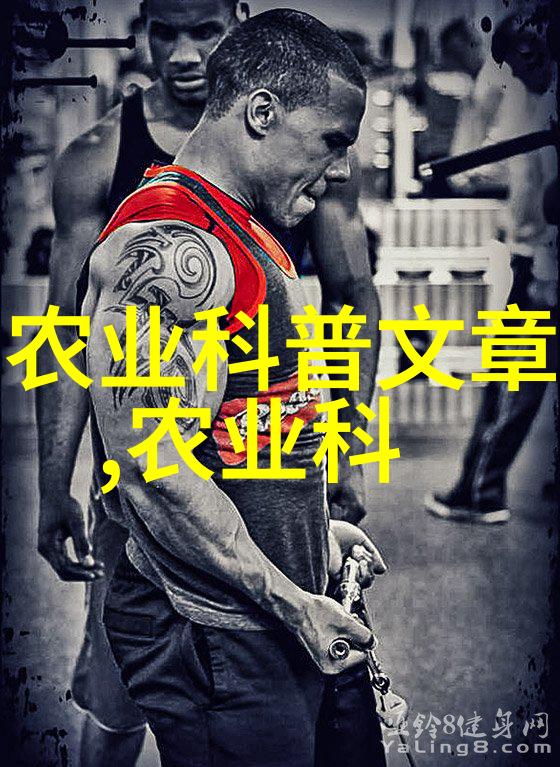 家用玉米棒输送机链条传递欢乐的神秘力量又在哪里