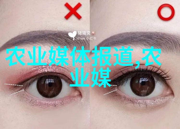 种植小麦和稻米保证年终粮仓满员