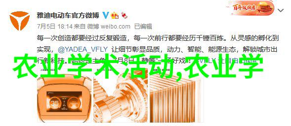 九千岁的爱情永恒之恋的传说