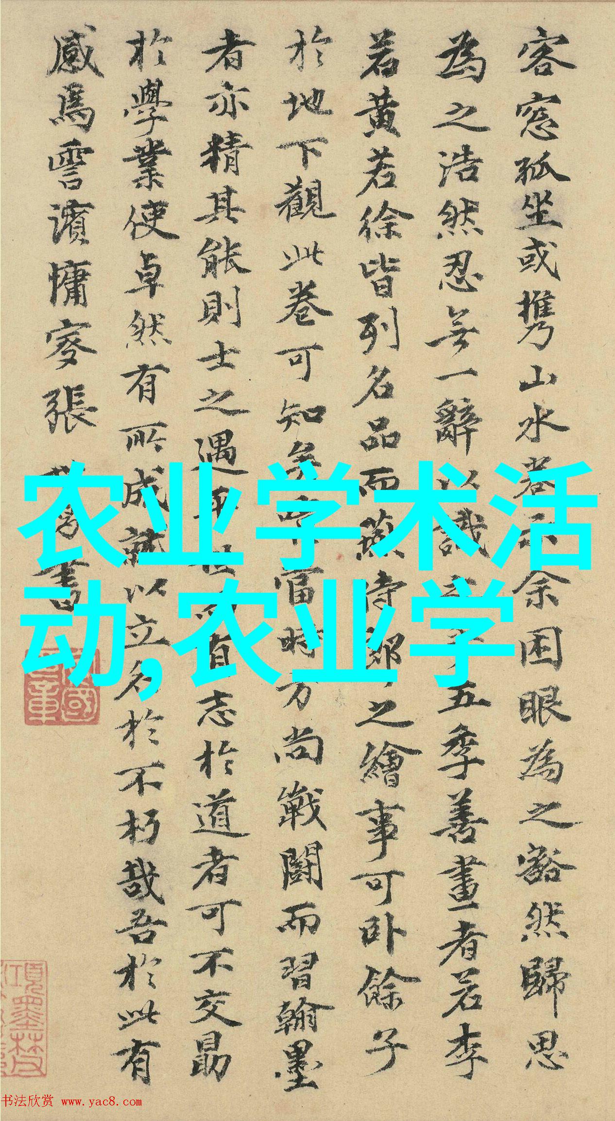 哪些因素决定了茶叶的第三个显著特点其独有的香气和芬芳