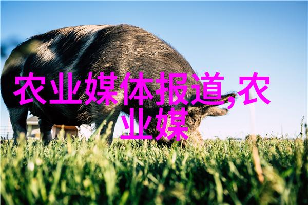 推动农业现代化新时代农业生产技术的创新与应用