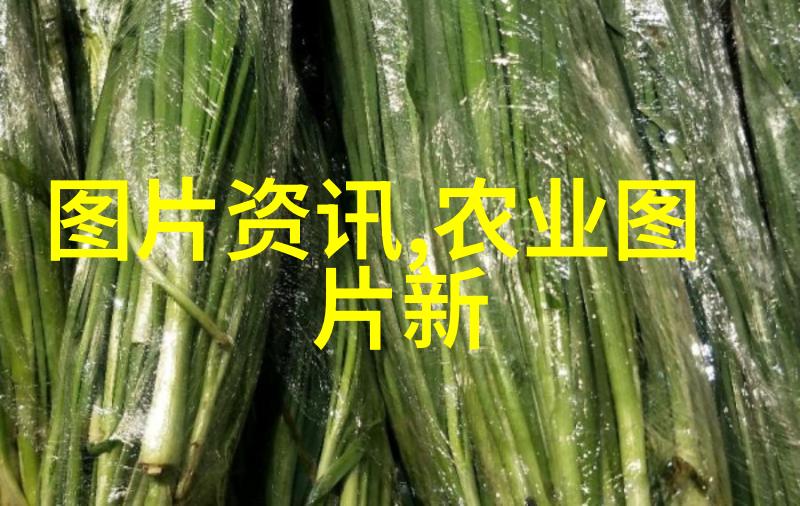 杨凌苗木基地如何应对极端气候变化带来的挑战
