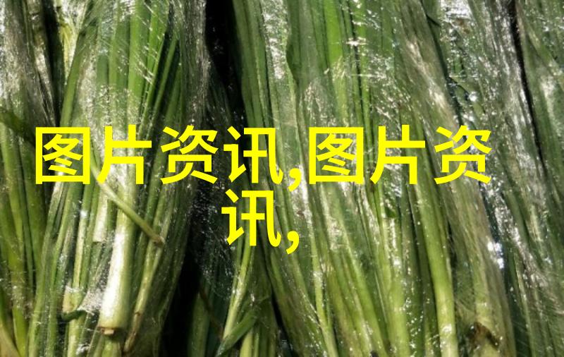 广州芳村茶叶批发网绿茶之优在于其独特的品质与健康效益