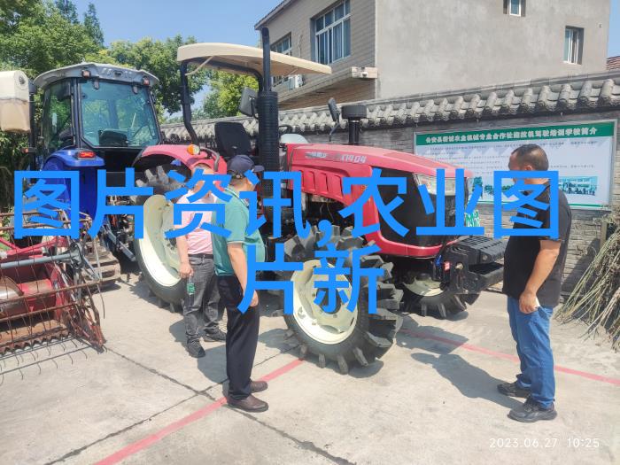 荒原上的翠绿西北苗木网的求购之旅