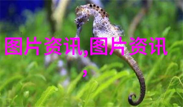 江西金谷探索我省种植的最贵药材之谜