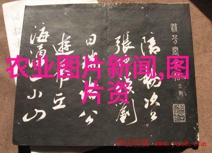 我的农业机械助力你丰收满载
