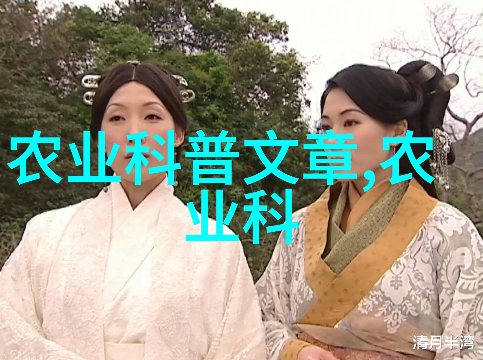 农业科普-玉米种植技巧与管理从播种到收获的全过程