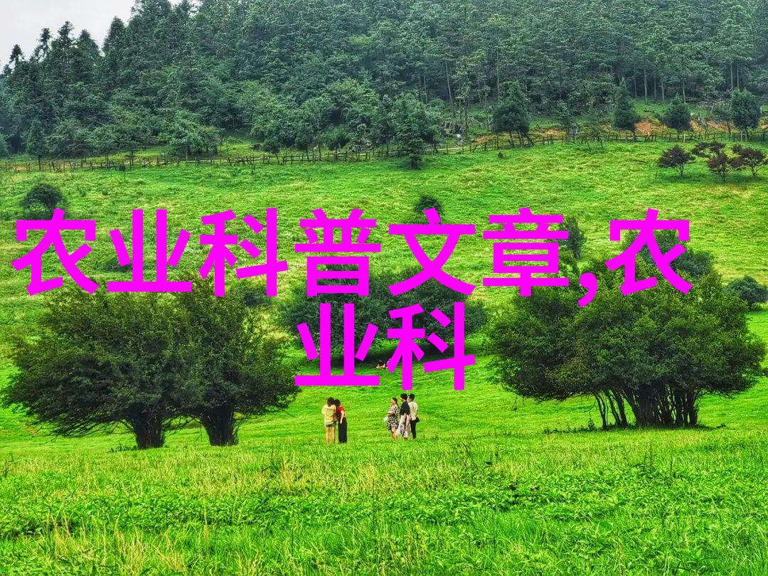 野菜大全 可食用我是如何在城市里找到的那些可口又免费的野菜