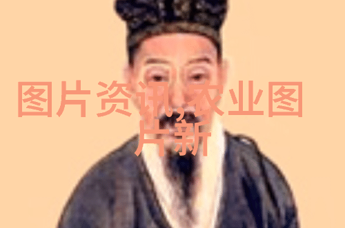 花卉种植的方案我来教你怎么在家里种出一片绿意盎然的小天地