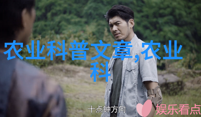 蜜蜂养殖基本技术-精准引领甜蜜梦掌握蜜蜂养殖的关键技巧与策略