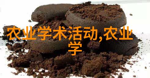 探索人生意义的哲学之旅