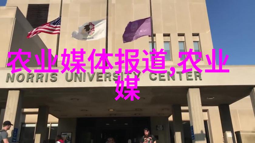 工地小型机械设备我是怎么在工地上巧妙运用那些小巧又实用的机械朋友的