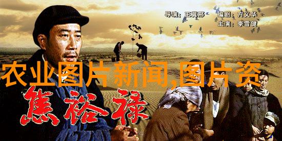 专家建议-不要在卧室摆放植物健康与美观的平衡考量