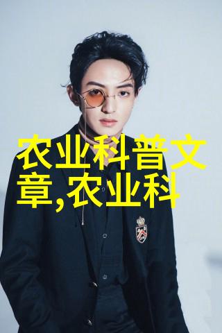 大型旋耕起垄施肥一体机我的农场新贵铁牛在田间的故事