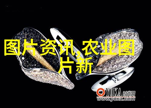 学技术哪个行业最吃香-码农与数据宠揭秘IT界的金钱花园