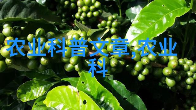大棚菜利润分析种植业的黄金赚钱之路