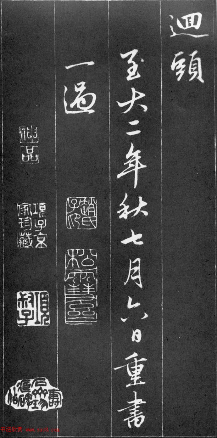 文竹的养殖方法和注意事项我是如何在家中把文竹从苗种长到满园的