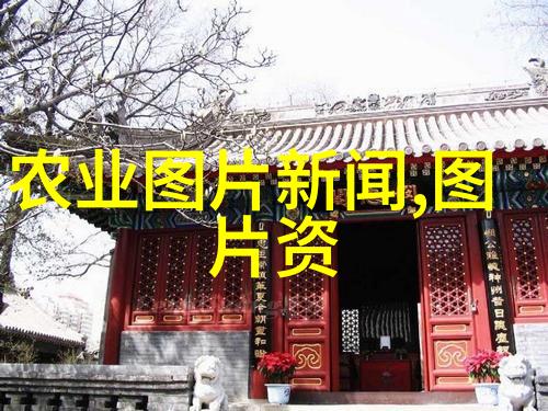 招c1驾驶员300元一天的好机会