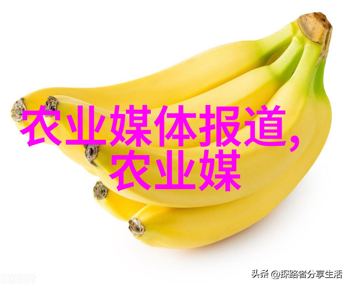茼蒿的健康益处提高免疫力与营养价值