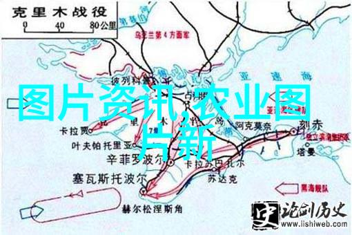法律法规的坚实根基百条规范之光
