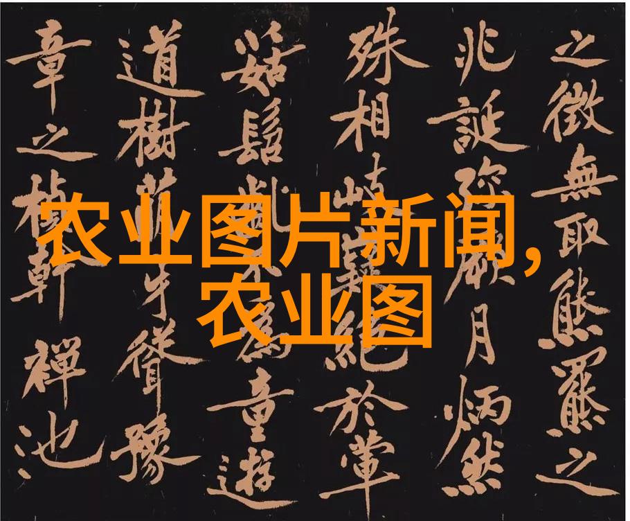 新浪网页浏览历史被遗忘的时光txt