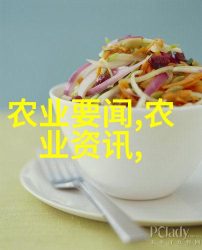 绿色生态有机蔬菜大棚种植基地的未来发展