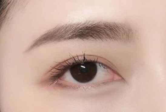 科普农业活动主题_农业科普活动_农业科普展示内容