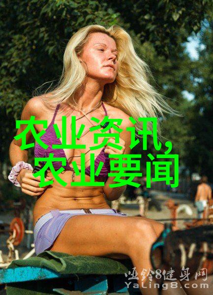 民法典中国法律体系的新里程碑与深远意义