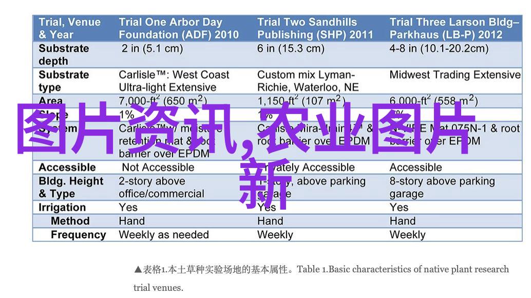 花香满城品味云南风情探索最美批发地之一