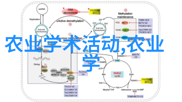 中国茶叶种类大全了解每一种中国茶的特点和文化意义