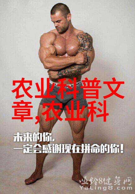 对初学者来说学习最先进的淡水养鱼方法需要遵循哪些步骤和原则