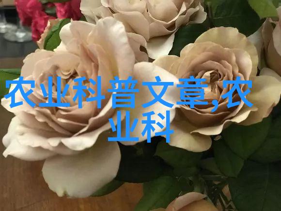 当年盛世药材宝库探秘古代高效药材之选
