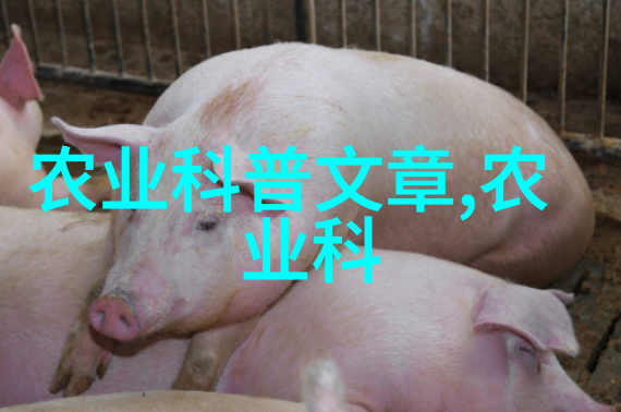 踏上法律之路2023年司法考试报名条件解析