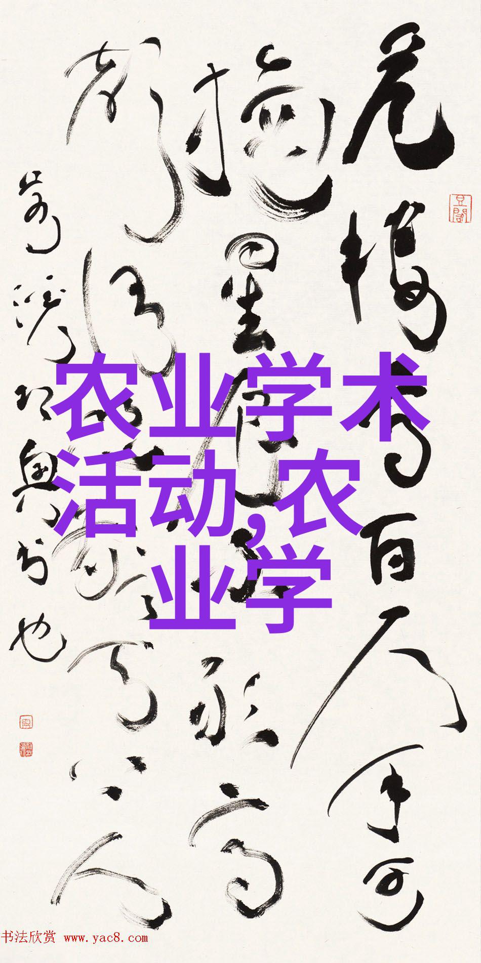 探究花卉大棚经济效益一种可行的农业增值策略分析