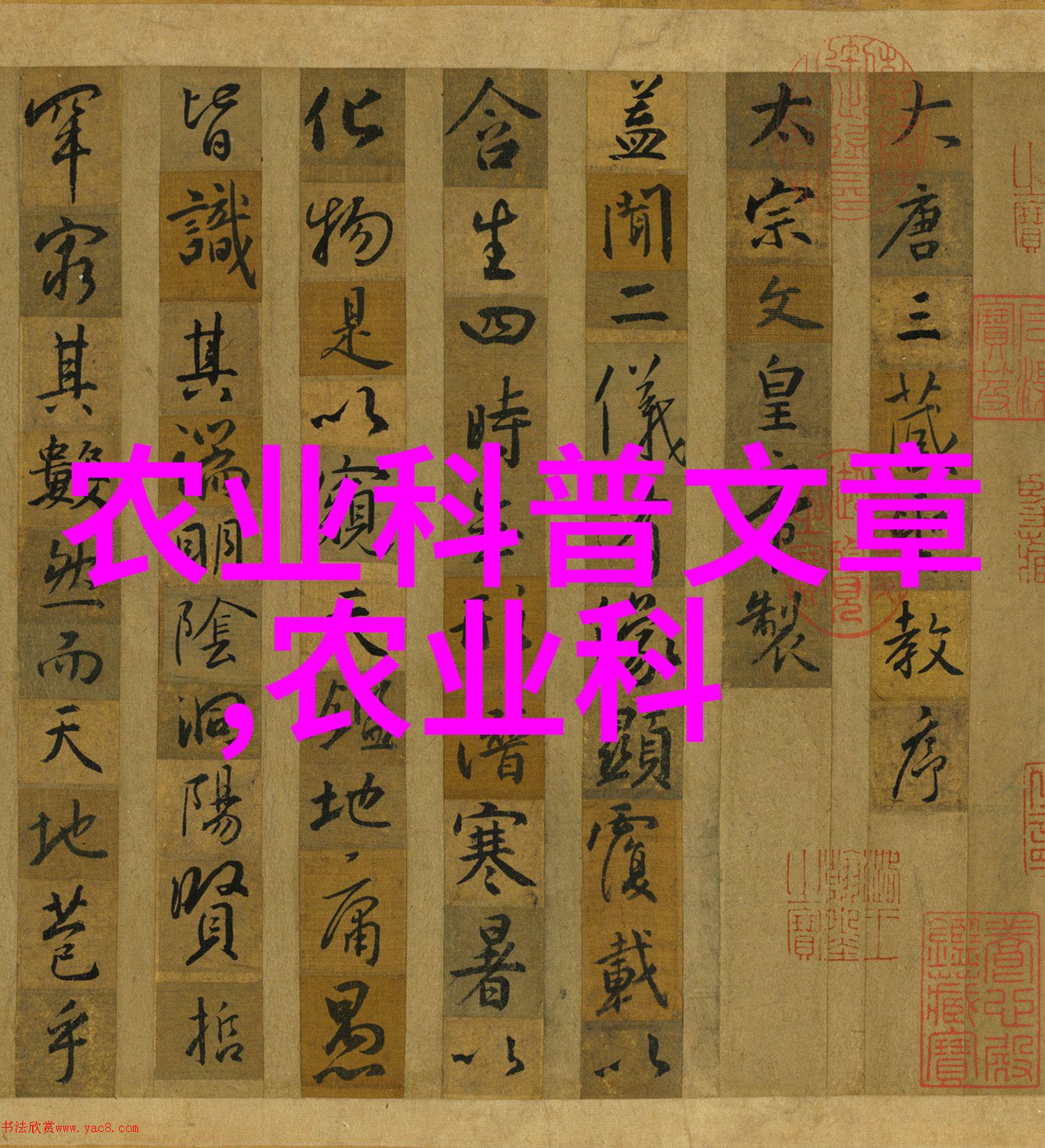 大樱桃盛宴全球25种口感与色泽各异的佳果
