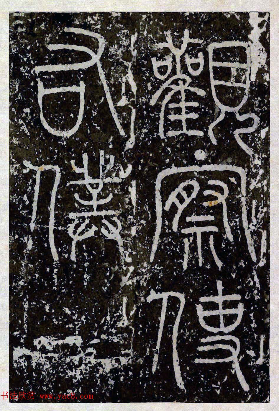 水果种植养护技巧如何选择合适的土壤和灌溉方法