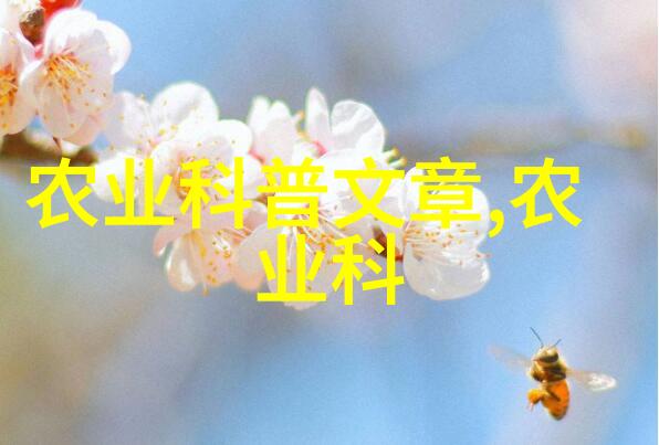 院中秘境探寻三树之谜