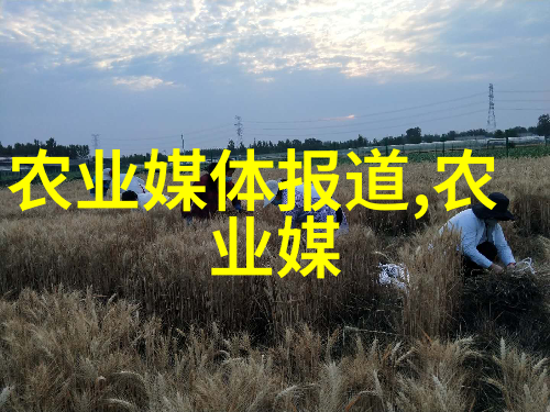 八九之间花卉也能大显身手秋季播种秘诀