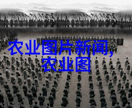 绿色革命新时代蔬菜种植的智能化与生态化转型