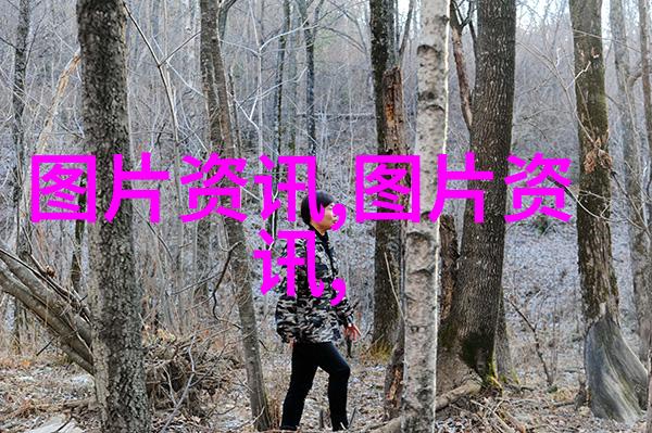 种子中的丰收水果背后的故事