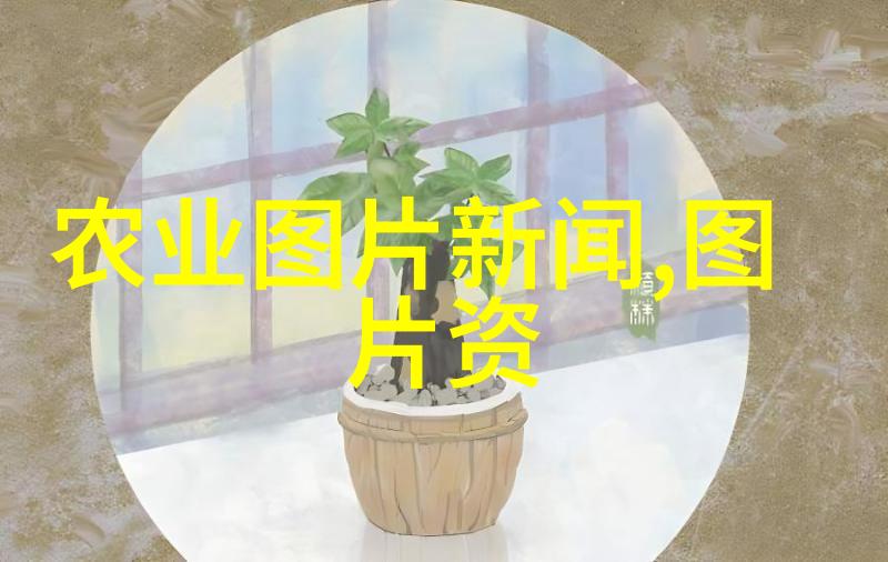 庆祝生活美好时刻斗南鲜花批发平台的选择