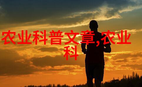 农事宝典秋季收获的秘密花园