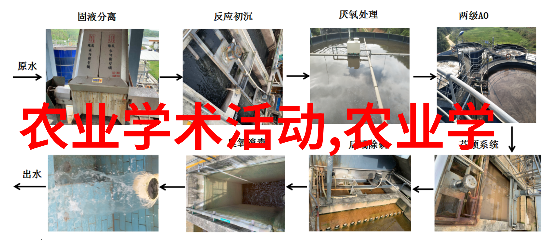 蟾蜚繁殖技术成功孵化秘诀